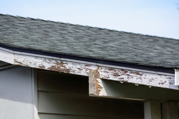 Idaho Falls Wood Rot Repair