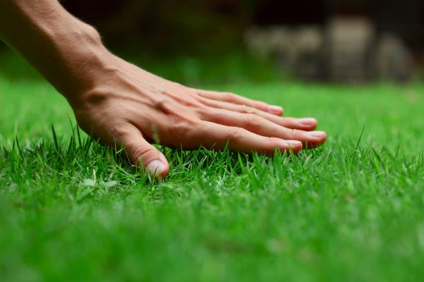 Idaho Falls Lawn Treatment