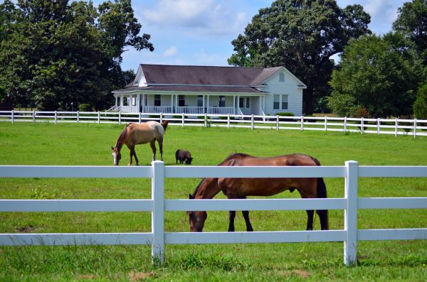 Idaho Falls Fence Service